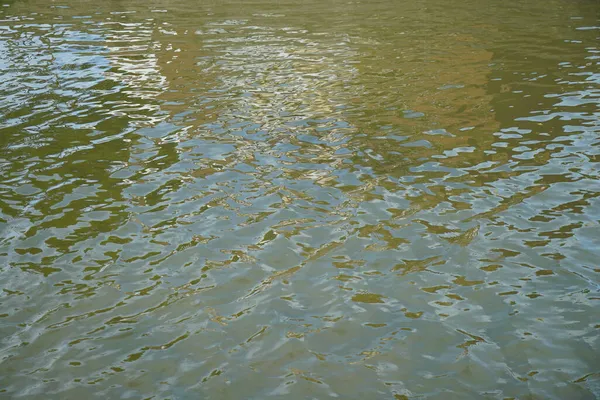 Een Prachtig Shot Van Een Kalme Groene Blauwe Plas Water — Stockfoto