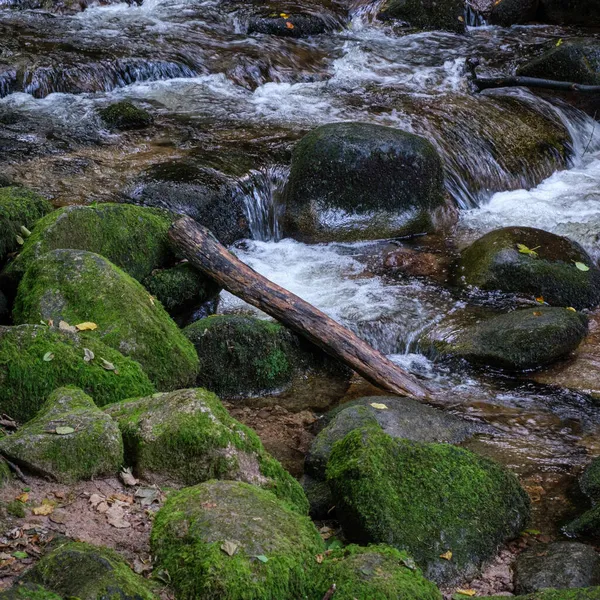 Ruisseau Grobbach Qui Coule Dans Forêt Noire Près Baden Baden — Photo
