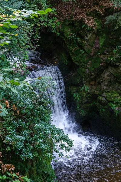 Uma Vista Deslumbrante Cachoeira Geroldsau Floresta Negra Alemanha — Fotografia de Stock