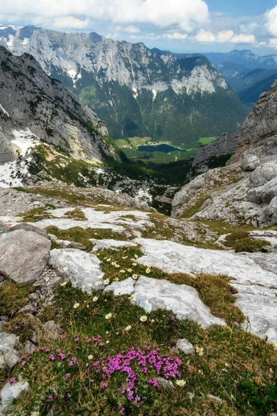 Plano Vertical Hermoso Paisaje Alpino Cubierto Nieve Alemania —  Fotos de Stock