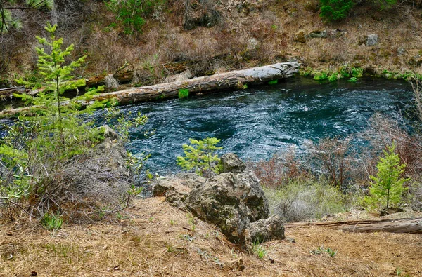 アメリカ合衆国オレゴン州中部のメトリウス川の美しい景色 — ストック写真