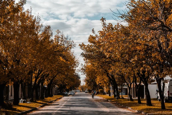Uma Estrada Por Parque Forrado Com Árvores Douradas Outono — Fotografia de Stock