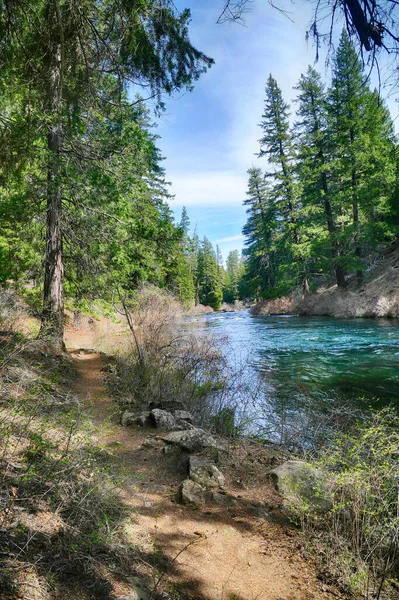 アメリカ合衆国オレゴン州中部の木々に囲まれたメトリウス川の美しい景色 — ストック写真