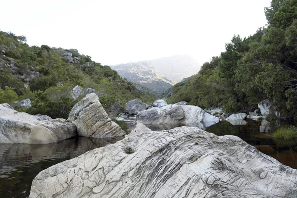 Una Hermosa Vista Río Rodeado Enormes Piedras Árboles —  Fotos de Stock