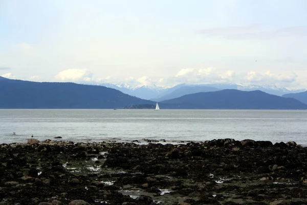 Primer Plano Hermosa Vista Mar Primavera Vancouver Canadá — Foto de Stock