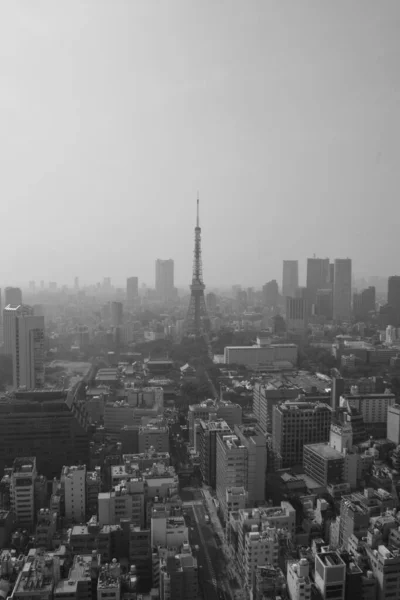 Tokyo Nun Japonya Daki Şehir Manzarasının Ters Çevrilmiş Bir Görüntüsü — Stok fotoğraf