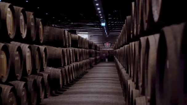 Şarap Fıçıları Şaraphanedeki Kapılar — Stok video