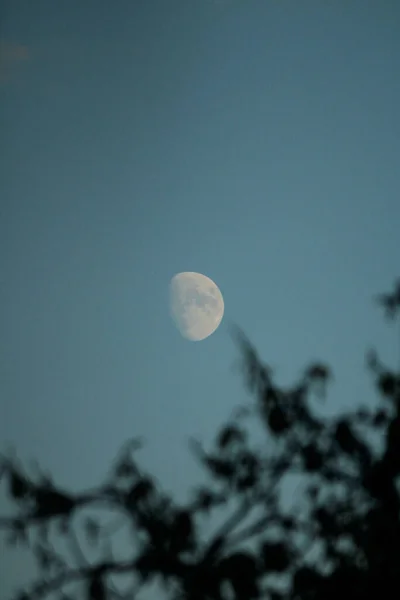 Cera Gibbous Céu Azul Tarde — Fotografia de Stock