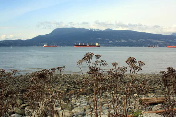 Uma Foto Close Vista Oceano Primavera Vancouver Canadá — Fotografia de Stock