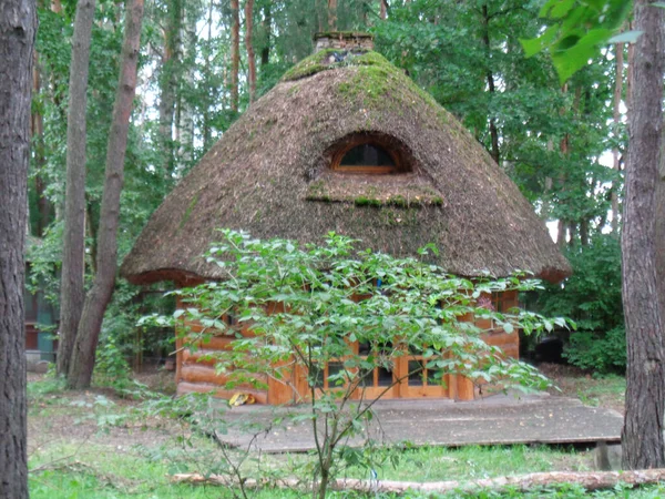 Ein Altes Holzhaus Inmitten Des Grünen Waldes — Stockfoto