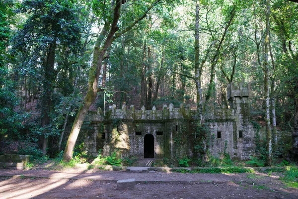 Castillo Musgoso Bosque Encantado Aldan Cangas Galicia España — Foto de Stock