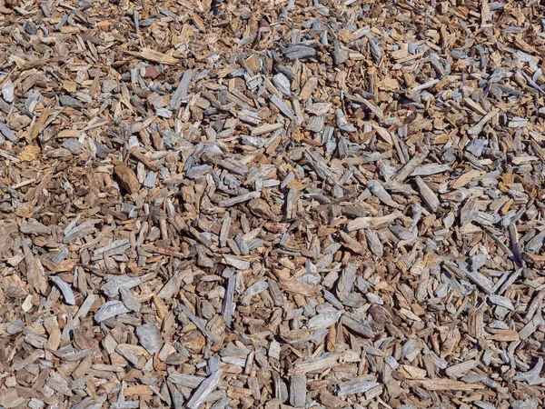 Closeup Wood Chips Texture — Stock Photo, Image