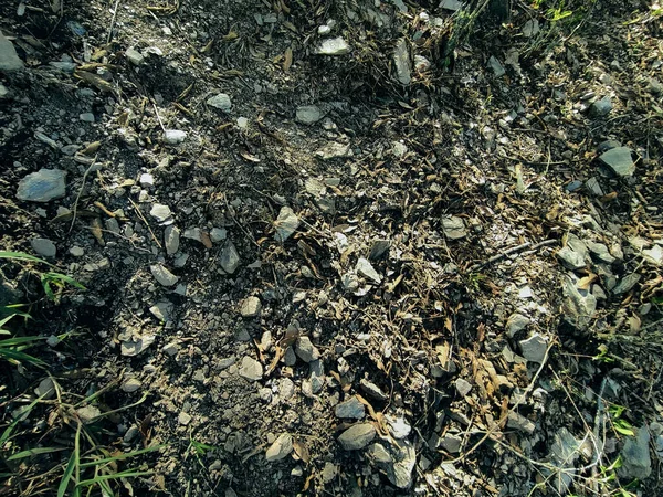 Una Vista Superior Suelo Con Pequeñas Piedras Hierba Bajo Luz — Foto de Stock