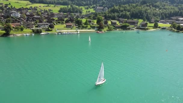 Εναέρια Άποψη Της Λίμνης Καλοκαίρι — Αρχείο Βίντεο