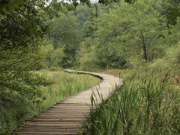 Beautiful View Wooden Dock Grassy Field Woods — Stock Photo, Image