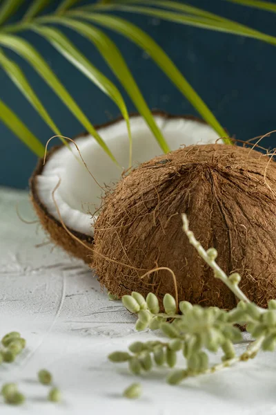 Pionowe Ujęcie Kokosa Zielonym Ziołem Egzotycznym Liściem Roślin Pierwszym Planie — Zdjęcie stockowe