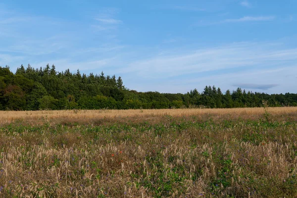 Piękne Ujęcie Naturalnego Krajobrazu — Zdjęcie stockowe