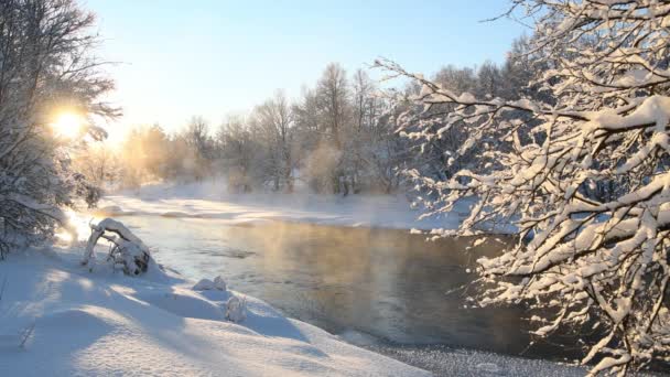 Paisaje Invernal Con Árboles Cubiertos Nieve — Vídeo de stock