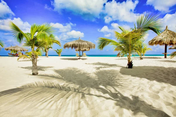 Une Plage Sable Idyllique Avec Des Palmiers — Photo