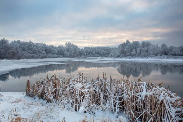 一望无际的冬季河流被结冰的森林环绕着 一派迷人的景象 — 图库照片