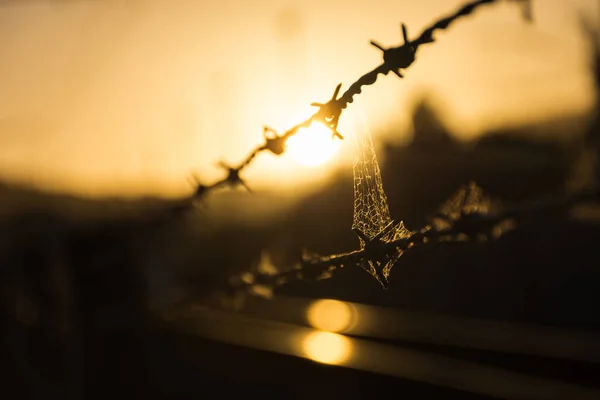 Close Uma Cerca Arame Farpado Fundo Pôr Sol Nova Zelândia — Fotografia de Stock