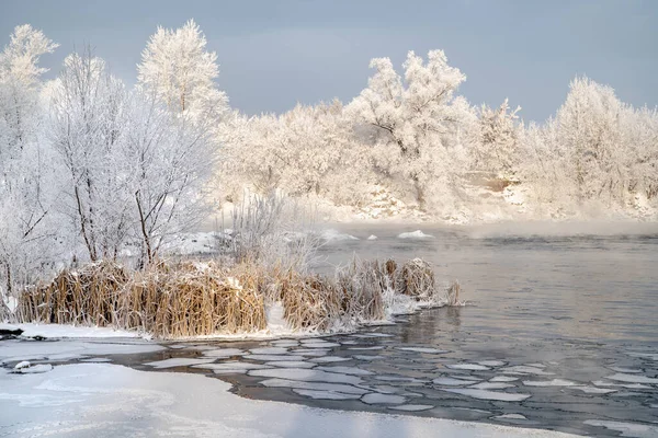 Lenyűgöző Kilátás Egy Nyugodt Téli Folyóra Fagyos Fákkal Körülvéve — Stock Fotó