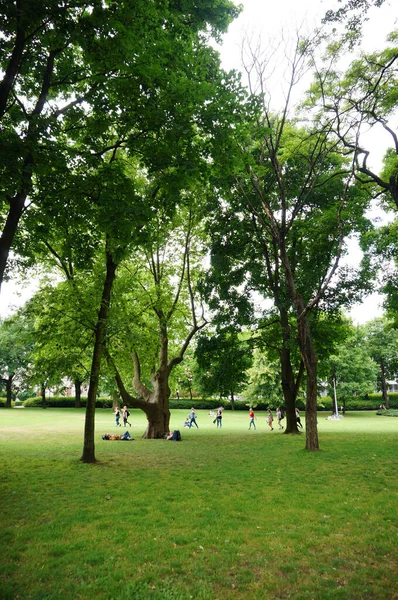 Poznan Polen Mei 2018 Een Prachtig Uitzicht Het Grasveld Omringd — Stockfoto