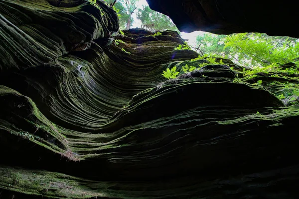 Tiro Ângulo Baixo Das Rochas Cobertas Por Plantas Verdes — Fotografia de Stock