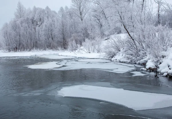 Une Vue Fascinante Sur Une Rivière Calme Hivernale Entourée Arbres — Photo