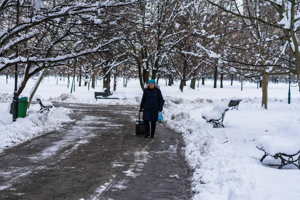 Βουκουρεστι Ρουμανια Ιανουαρίου 2021 Μια Γυναίκα Που Περπατάει Χιονισμένο Μονοπάτι — Φωτογραφία Αρχείου