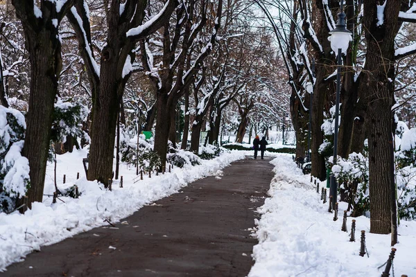 Bucharest Romania Jan 2021 People Warm Clothes Walking Snowy Trail — Stock Photo, Image