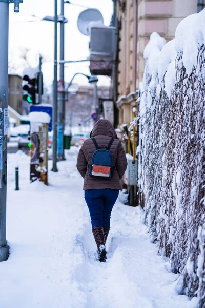 Bucharest Roménia Janeiro 2021 Uma Pessoa Caminhando Uma Trilha Nevada — Fotografia de Stock