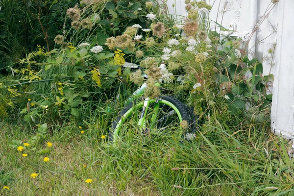 Vélo Partiellement Caché Par Des Pelouses Des Mauvaises Herbes Envahies — Photo