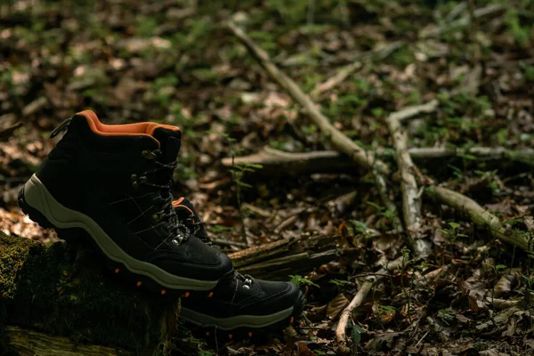 Een Close Opname Van Een Paar Donkergrijze Wandelschoenen Een Mossige — Stockfoto