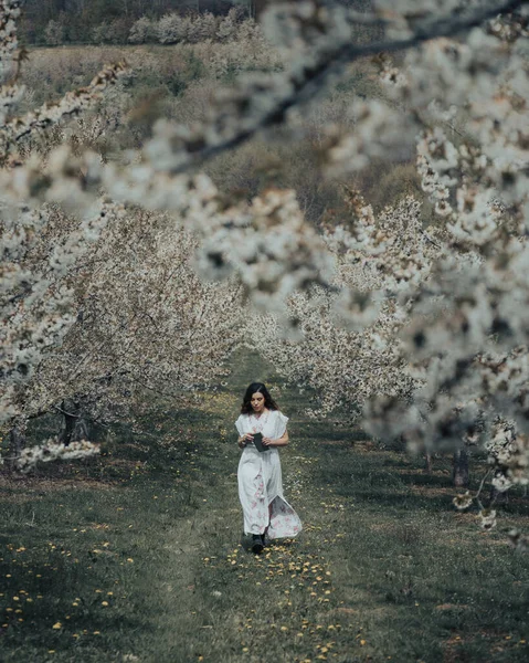 Güzel Kiraz Çiçekleri Bahçesinde Poz Veren Genç Bir Bosnalı Kadın — Stok fotoğraf