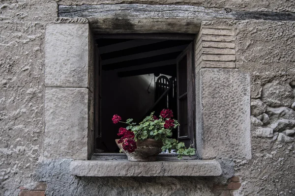 石窓にバラのある花びらの景色 — ストック写真