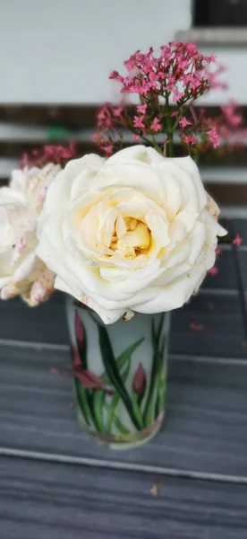 小さな陶器の花瓶に新鮮な白いバラや他の庭の花のクローズアップショット — ストック写真