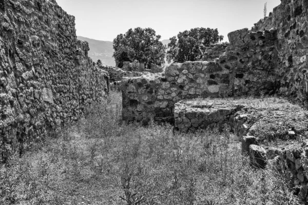 カンパニア州南イタリアのポンペイ考古学遺跡のグレースケールショット — ストック写真