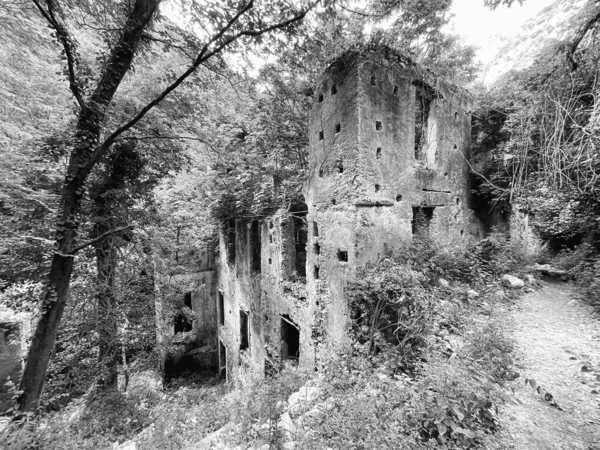 Cliché Niveaux Gris Vieux Château Abandonné — Photo