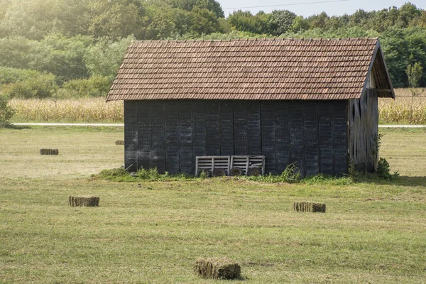 草の中に小屋がある田舎の明るい夏の日屋外 — ストック写真