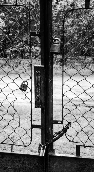 3つの南京錠で閉じられたメッシュガーデンゲートのモノクロショット — ストック写真