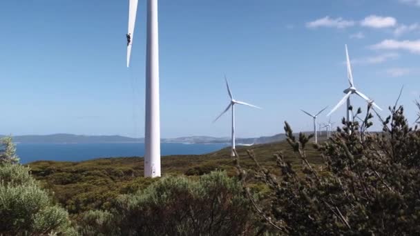 Turbina Eolica Energie Rinnovabili Concetto Natura Fondo — Video Stock