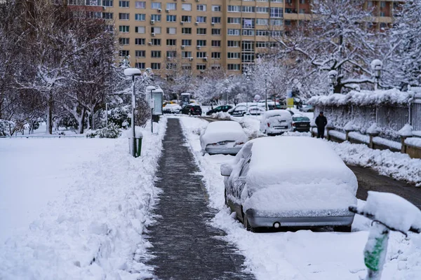 Bucharest Roménia Janeiro 2021 Carros Cobertos Neve Perto Uma Estrada — Fotografia de Stock