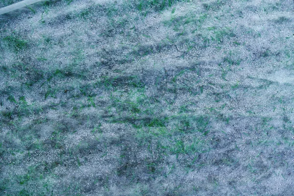 Gras Met Natte Beschermende Vacht Textuur Van Deksel Fleece Ter — Stockfoto