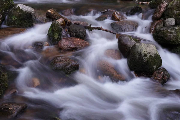 View River Small Rocks — Stock Photo, Image