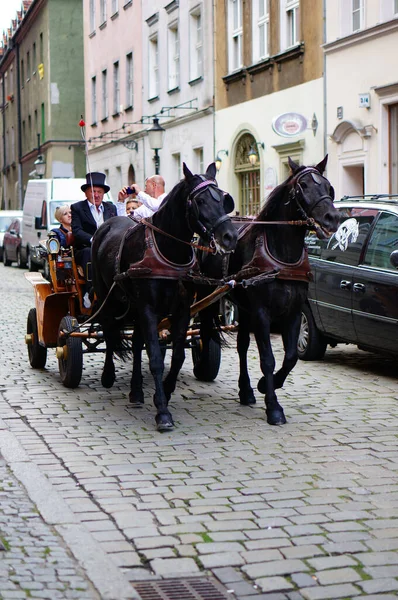 Poznan Poland Sep 2013 People Horse Carriage Moving City — 图库照片