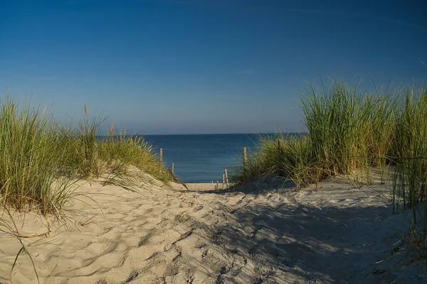 Plaża Otoczona Morzem Pod Słońcem Błękitnym Niebem — Zdjęcie stockowe