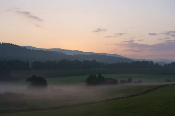 Krásná Krajina Zeleným Polem Pokrytým Mírnou Mlhou — Stock fotografie