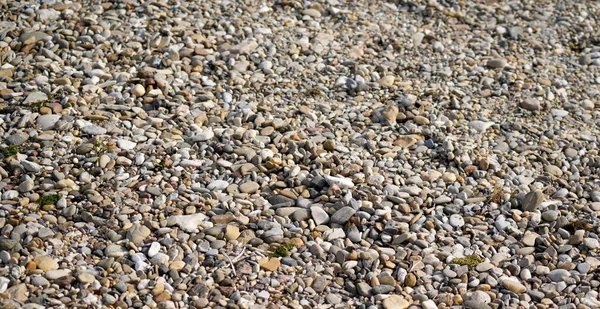 Plan Rapproché Rivage Rocheux Sur Plage Avec Des Cailloux Gris — Photo