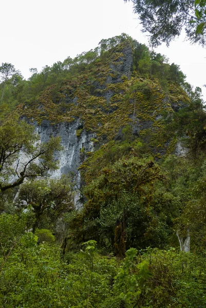Huehuetenango Daki Mistik Orman Gölü Magdalena Guatemala Orta Amerika — Stok fotoğraf